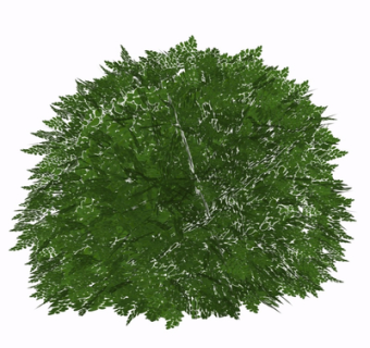 现代绿植su模型