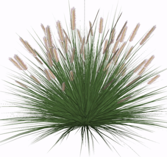 现代花草植物su模型