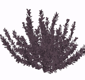 现代花草植物su模型