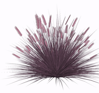 现代花草植物su模型