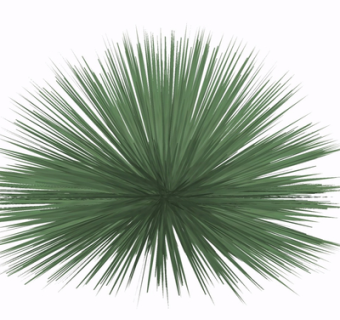 现代绿植花草su模型