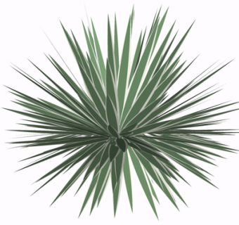 现代绿植花草su模型