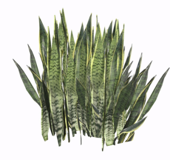 现代绿植花草su模型