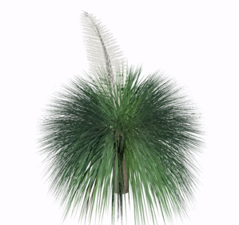 现代绿植花草su模型