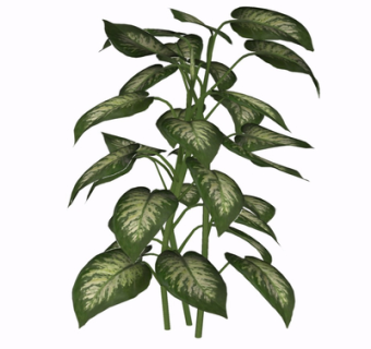 现代绿植su模型