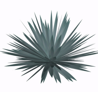 现代绿植花草su模型