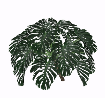 现代绿植花草su模型