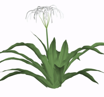 现代绿植花草su模型