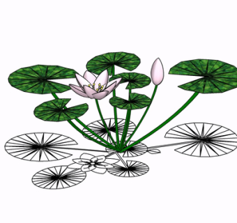 现代荷花su模型