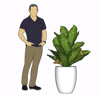 现代绿植盆栽su模型