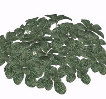 现代绿植su模型