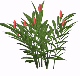 现代花草植物su模型