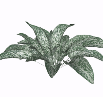 现代花草植物su模型