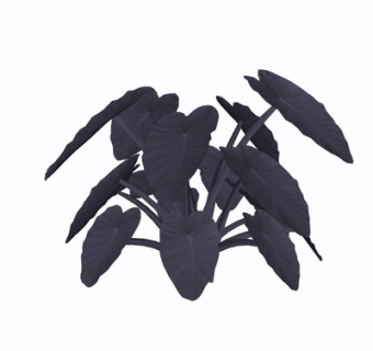 现代植物花草su模型