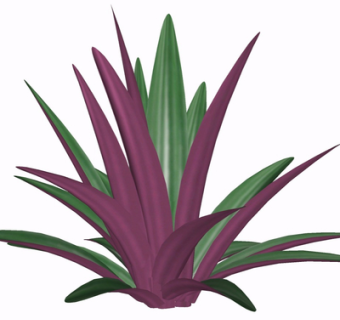 现代绿植花草su模型