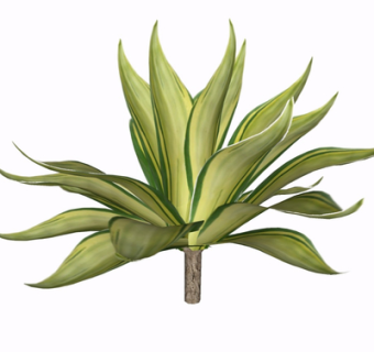 现代绿植su模型