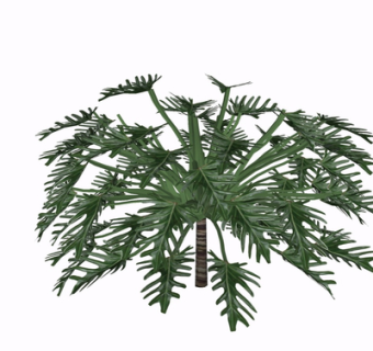 现代花草植物su模型