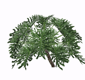 现代花草植物su模型