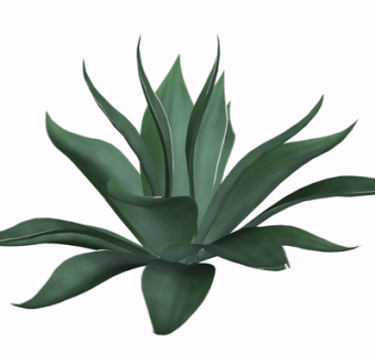 现代绿植花草su模型