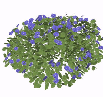 现代绿植花草su模型
