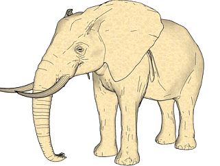 现代大象su模型