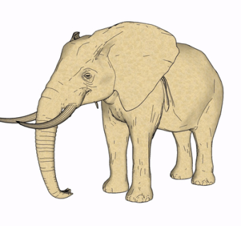 现代大象su模型