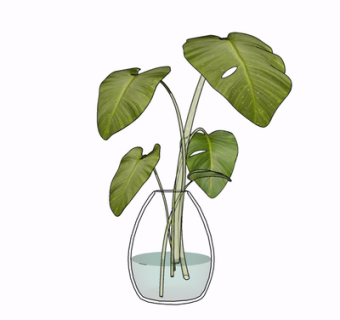 现代绿植花瓶su模型