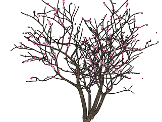 现代桃树su模型