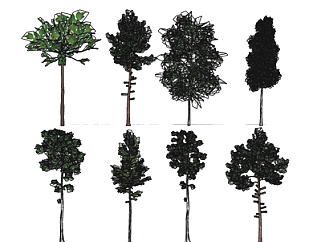 现代景观树su模型