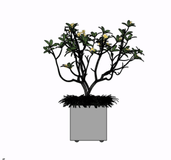 新中式盆栽su模型