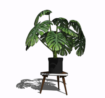 现代绿植盆栽su模型