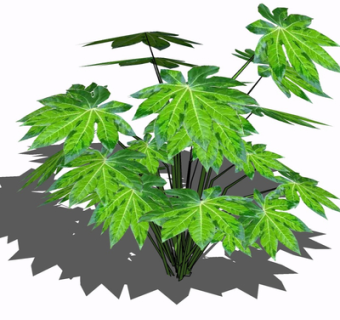 现代花草植物su模型