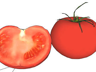 现代西红柿su模型