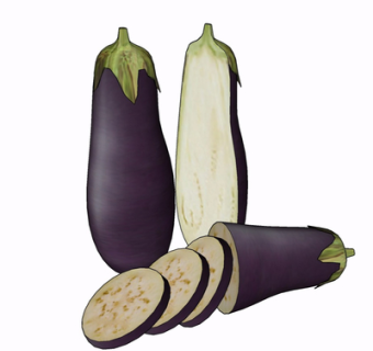 现代茄子su模型