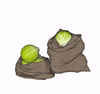 现代卷心菜su模型