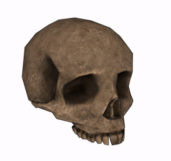 现代骷髅摆件su模型