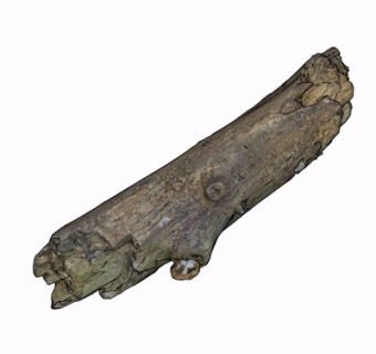 自然风木头su模型