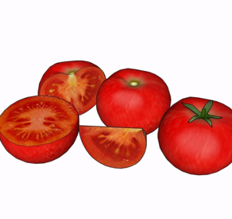 现代西红柿su模型