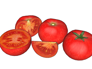 现代西红柿su模型