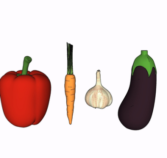 现代蔬菜su模型