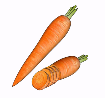 现代胡萝卜su模型