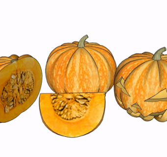 现代南瓜su模型