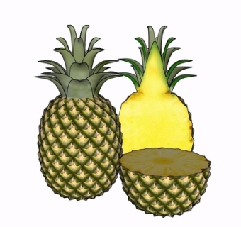 现代菠萝su模型