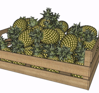 现代菠萝su模型