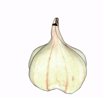 现代大蒜su模型