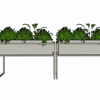 现代绿植盆栽su模型