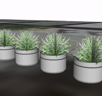 现代绿植盆栽su模型