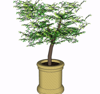 现代绿植盆栽su模型