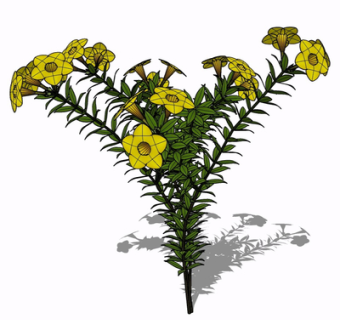 现代花草植物su模型
