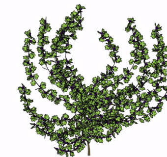 现代绿植花草su模型